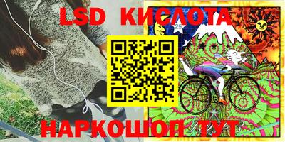 стаф Волгодонск