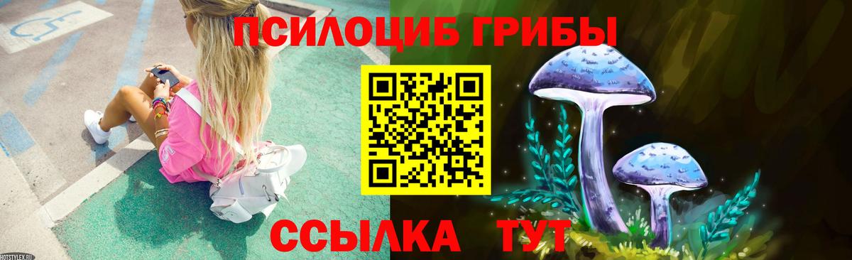 Можга  Псилоцибиновые грибы Psilocybe  Вход с VPN 