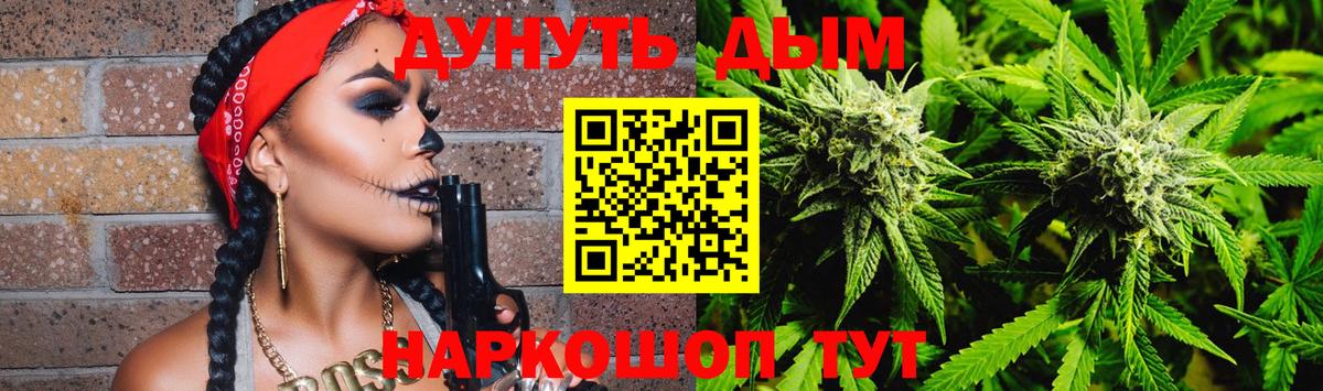 Каннабис гибрид Можга